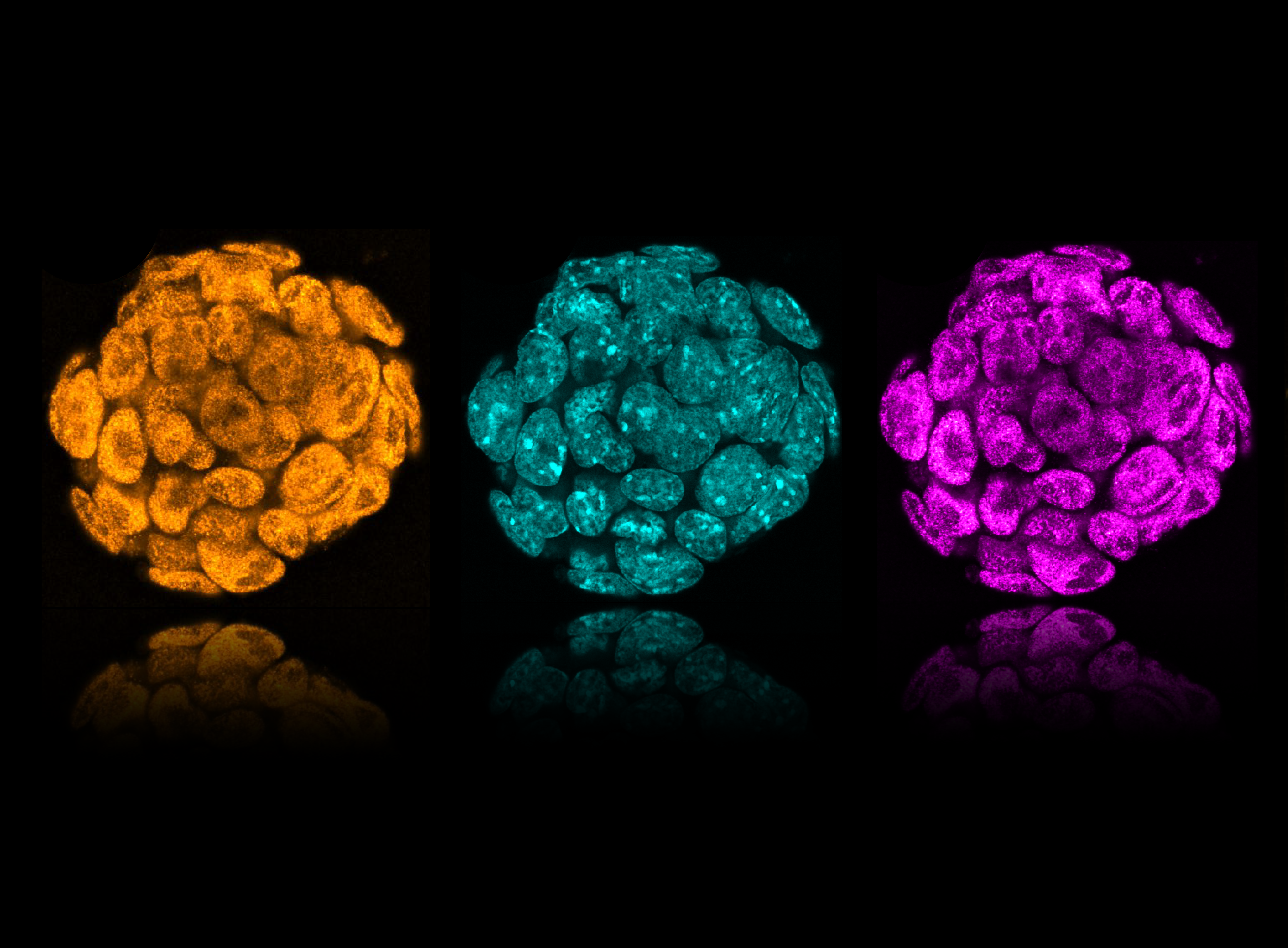 Master projects 2026 1