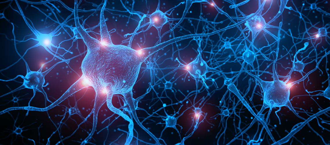 Misplaced Neurons Reveal the Brain’s Adaptability - Geneva University ...